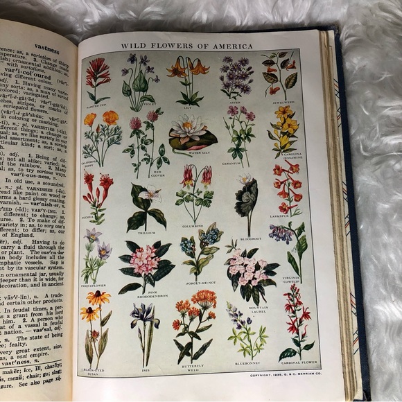 VINTAGE MERRIAM WEBSTER A DICTIONARY FOR BOYS AND GIRLS - Picture 8 of 9